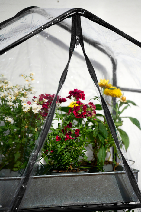 Drivhus 59 x 39 x 126 cm - Garden